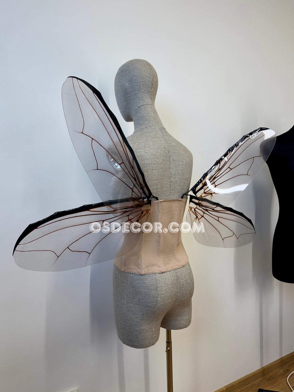 Grey Transparent Wings of a Fly