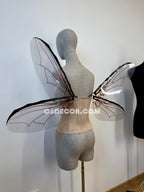 Grey Transparent Wings of a Fly