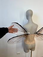 Grey Transparent Wings of a Fly