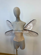 Grey Transparent Wings of a Fly