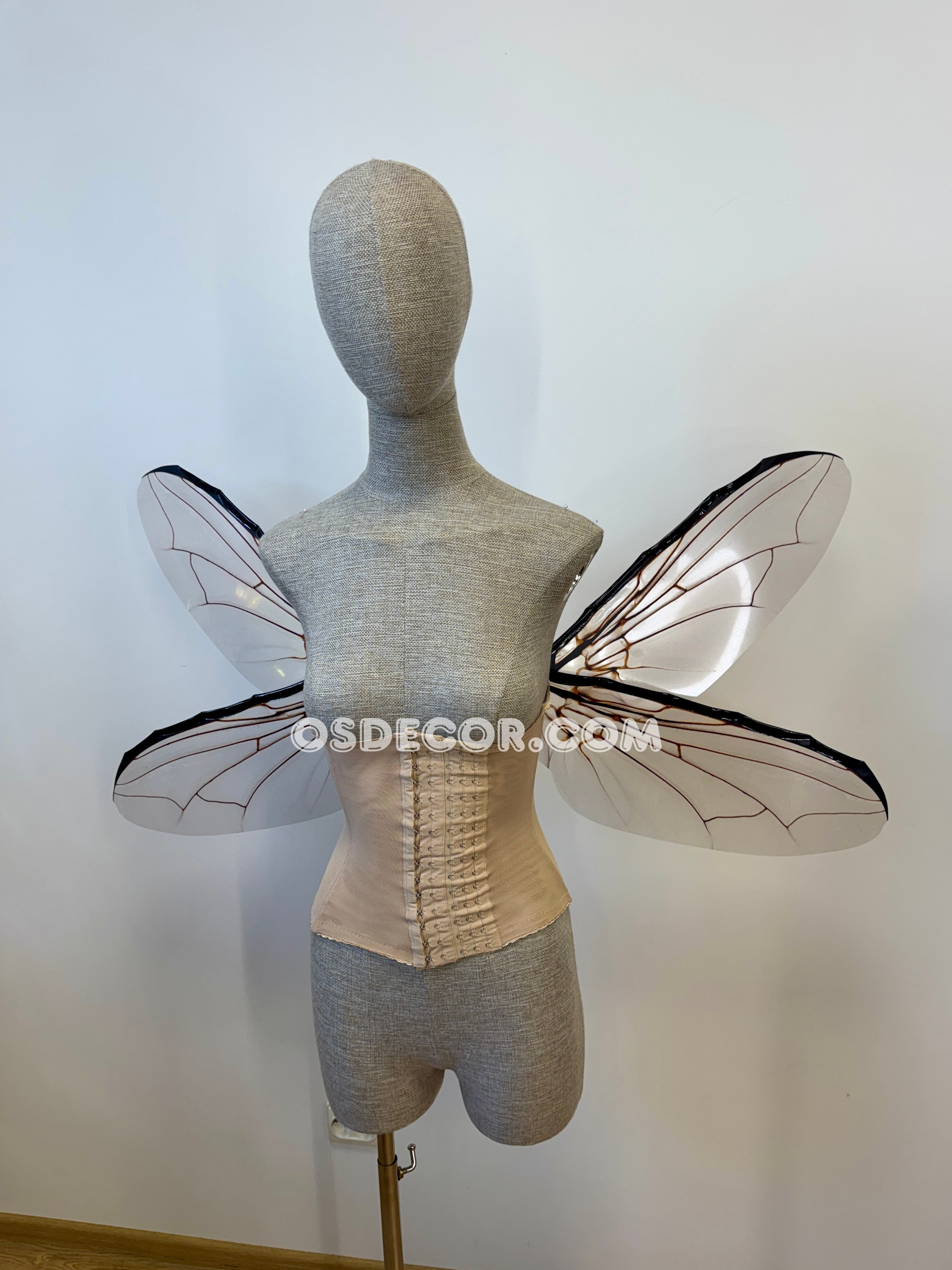 Grey Transparent Wings of a Fly