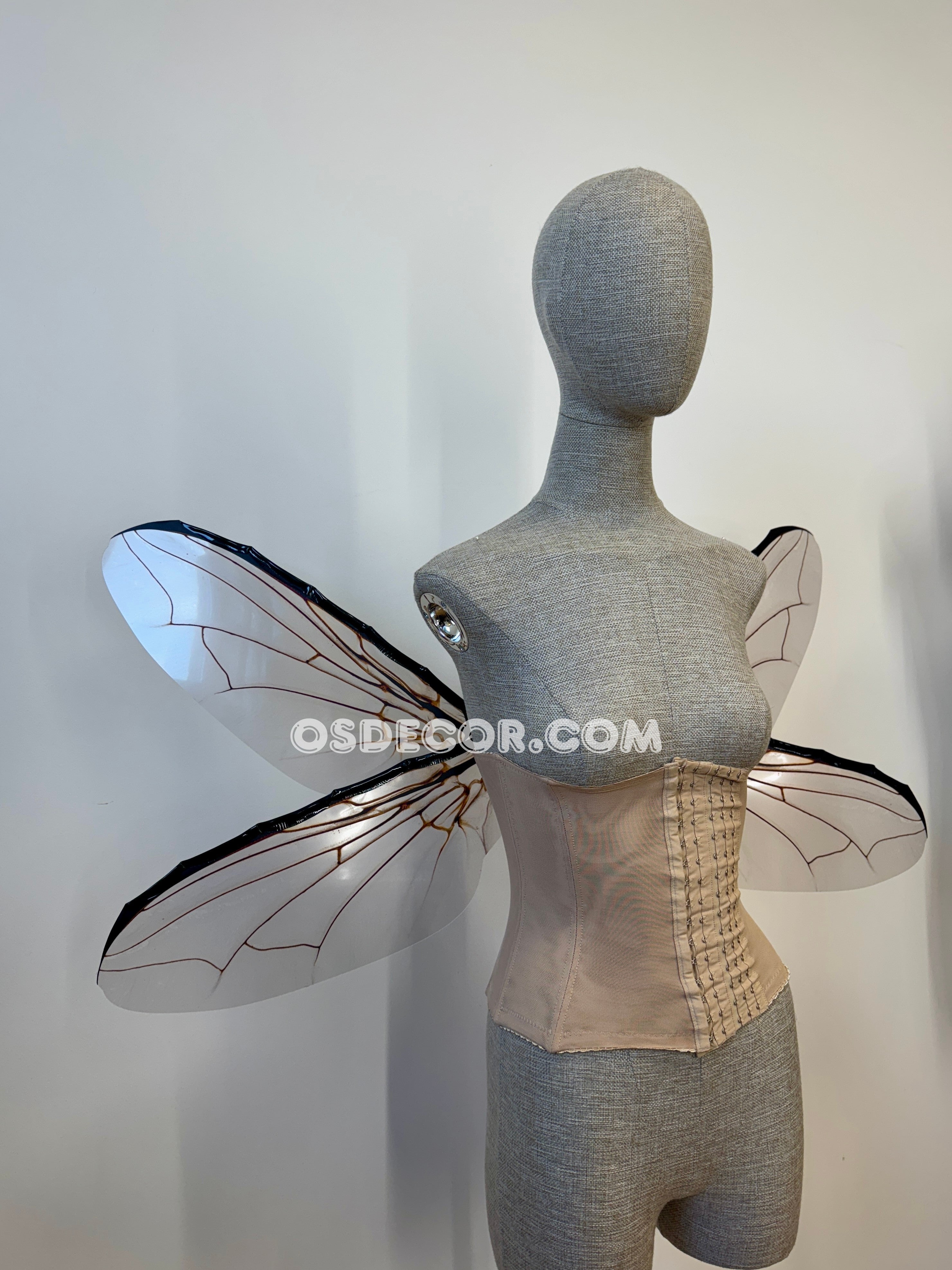 Grey Transparent Wings of a Fly