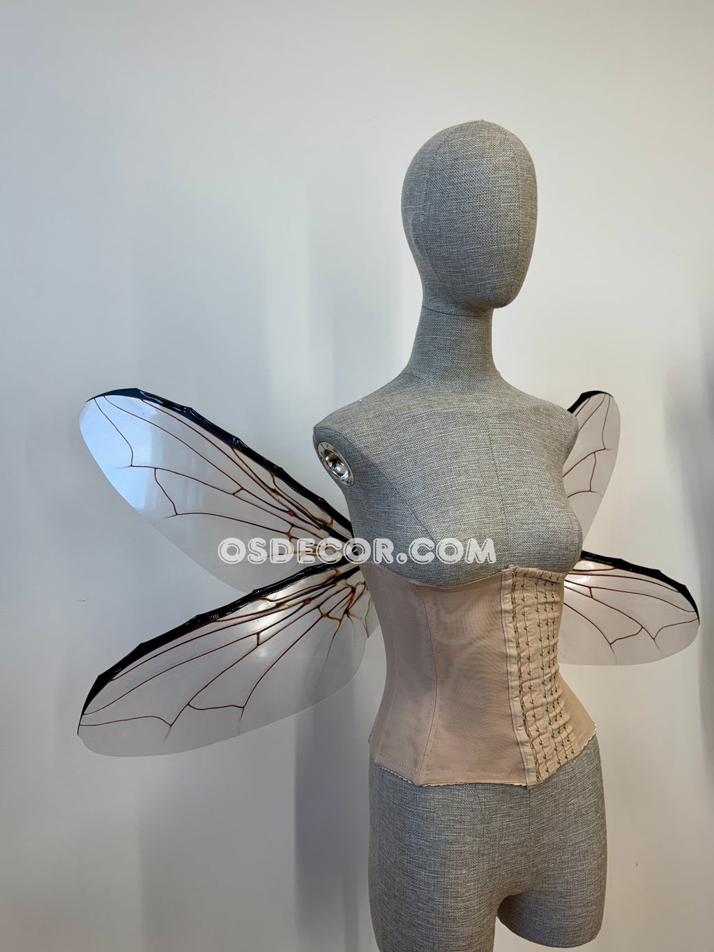 Grey Transparent Wings of a Fly