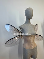 Grey Transparent Wings of a Fly