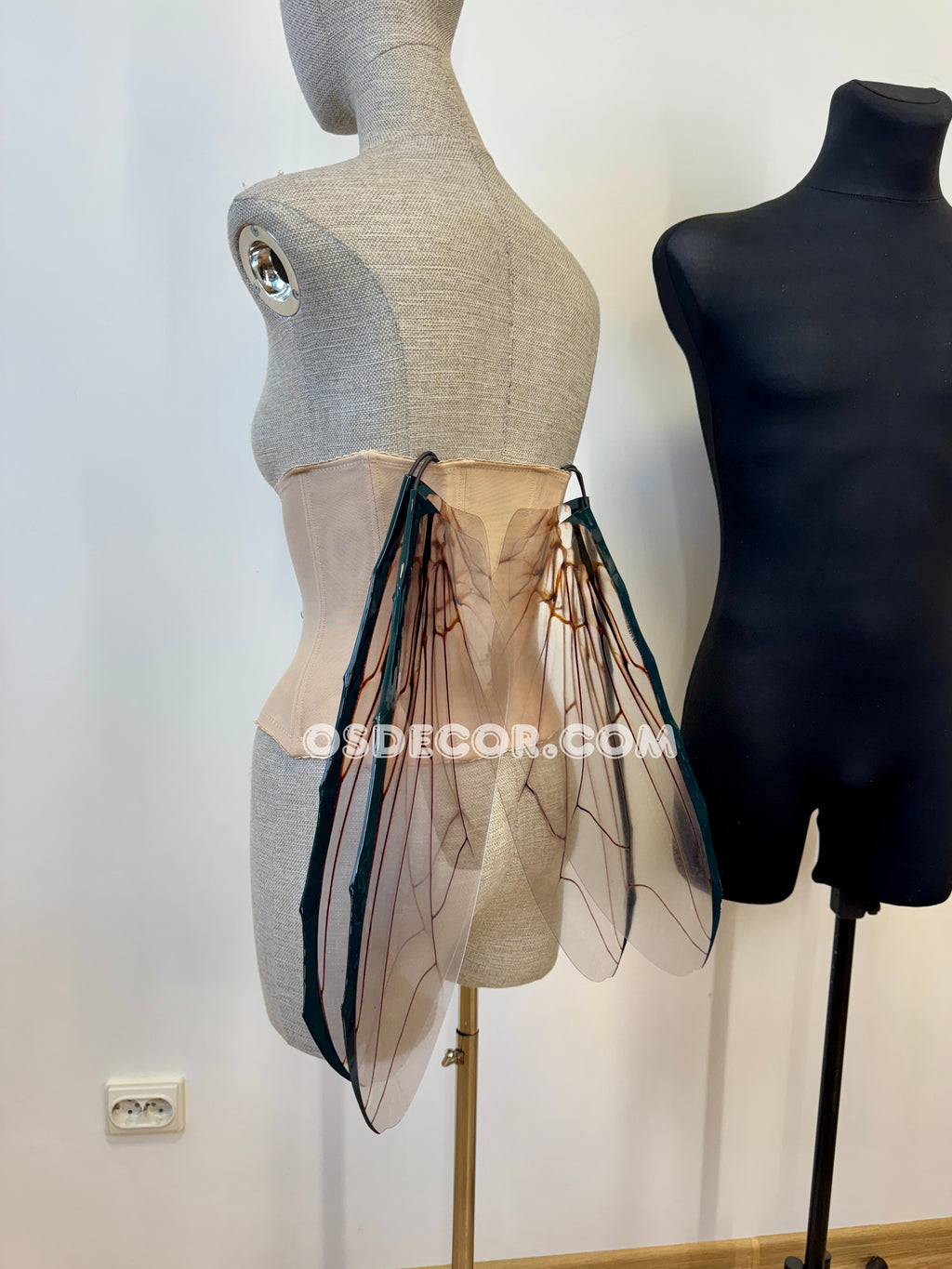 Grey Transparent Wings of a Fly