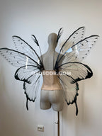 Transparent Black Fairy Wings