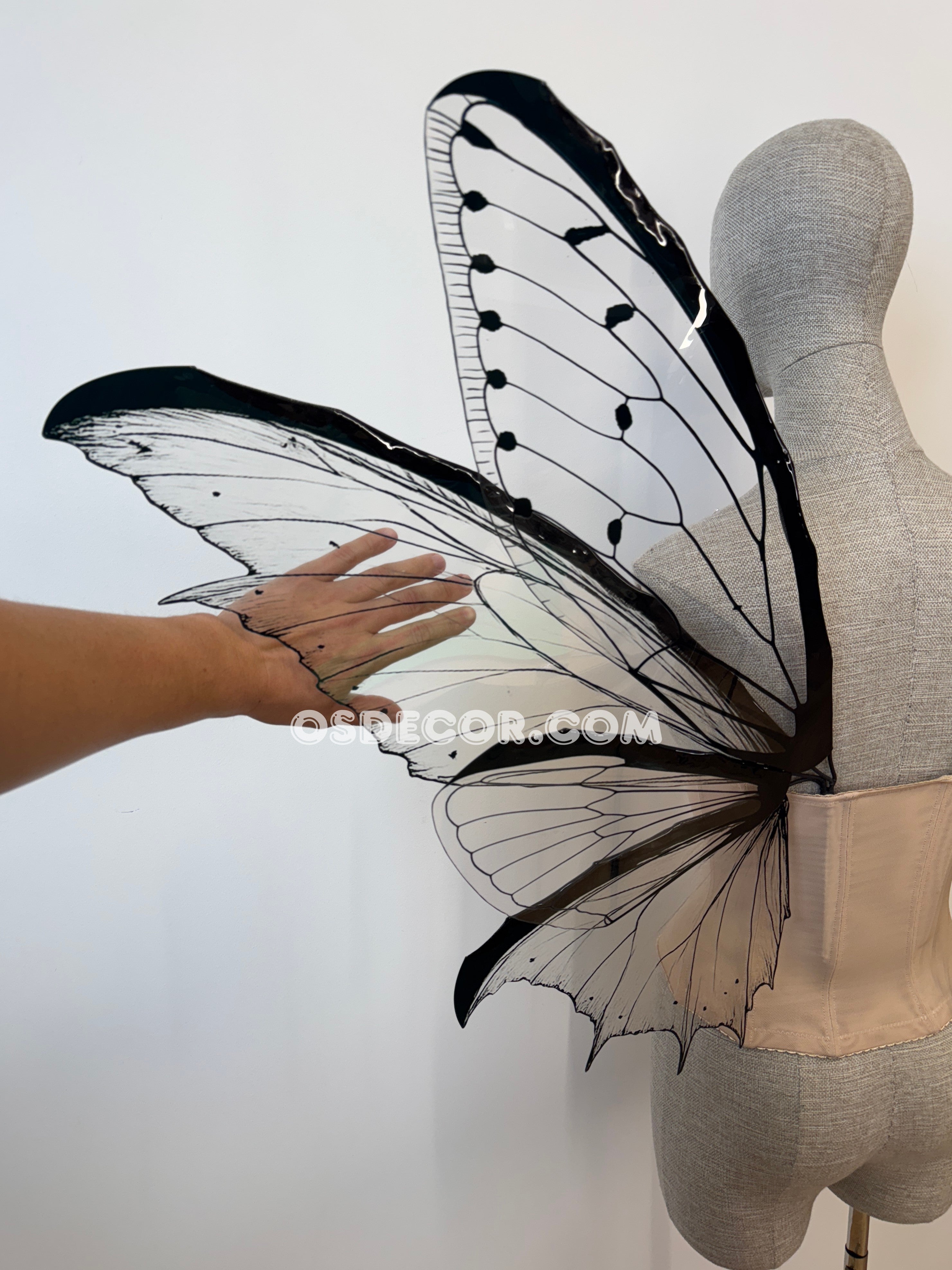 Transparent Black Fairy Wings