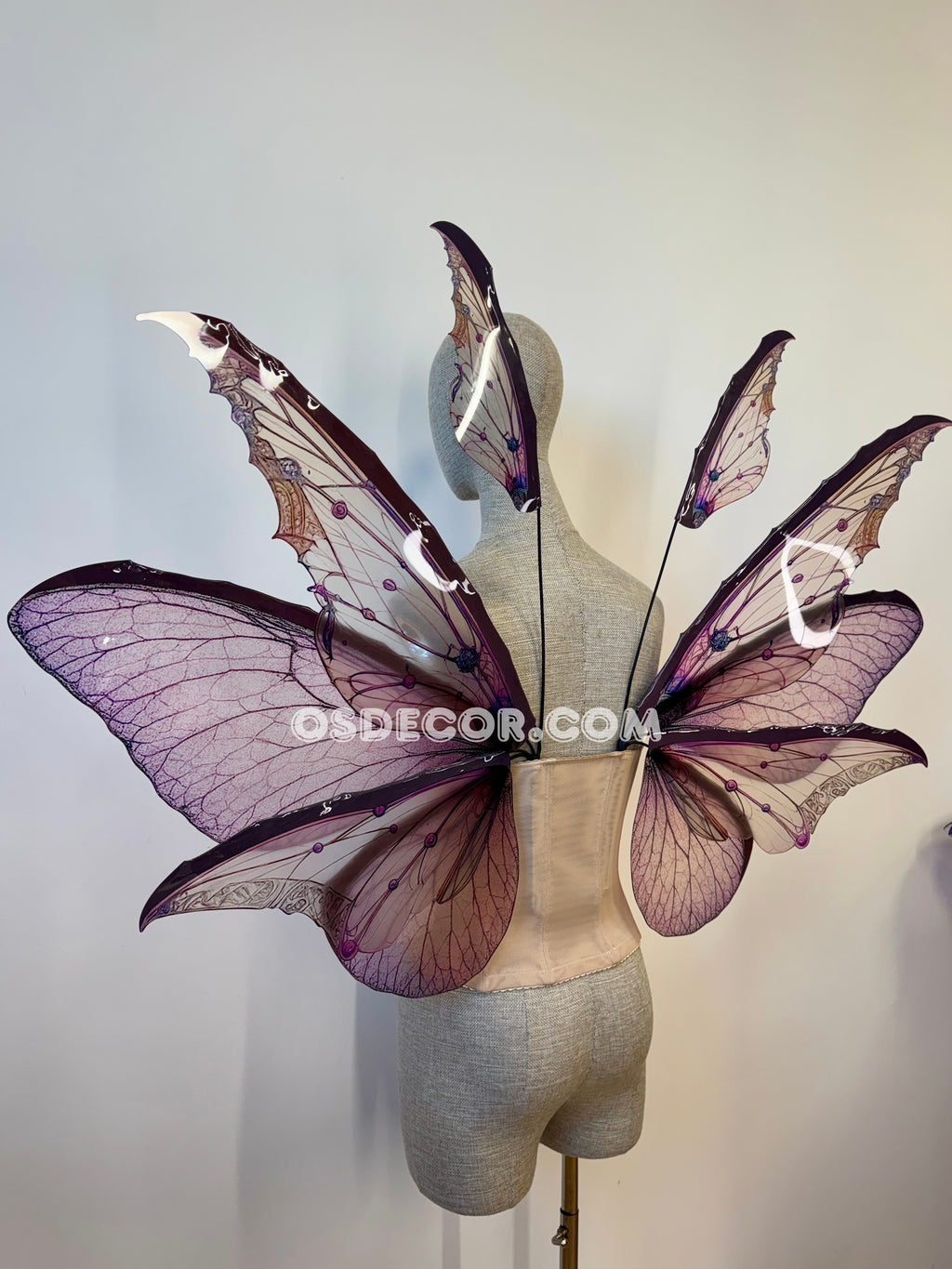 Orange Red Brown Fairy Wings