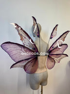 Orange Red Brown Fairy Wings