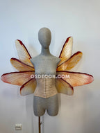Orange Red Brown Fairy Wings