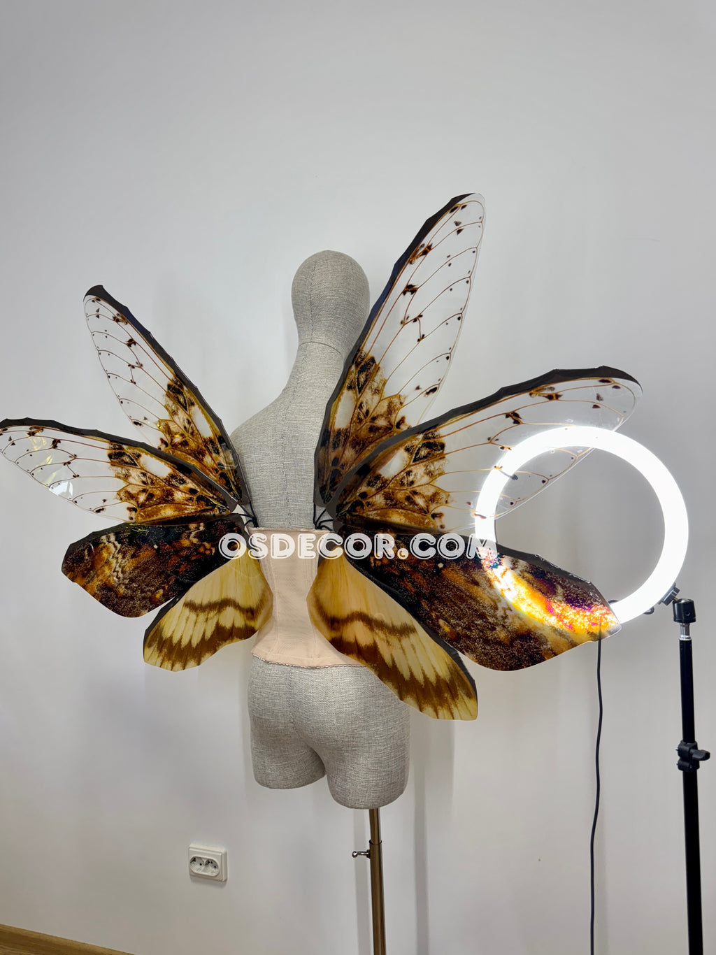 Orange Brown Leaves Fairy Wings