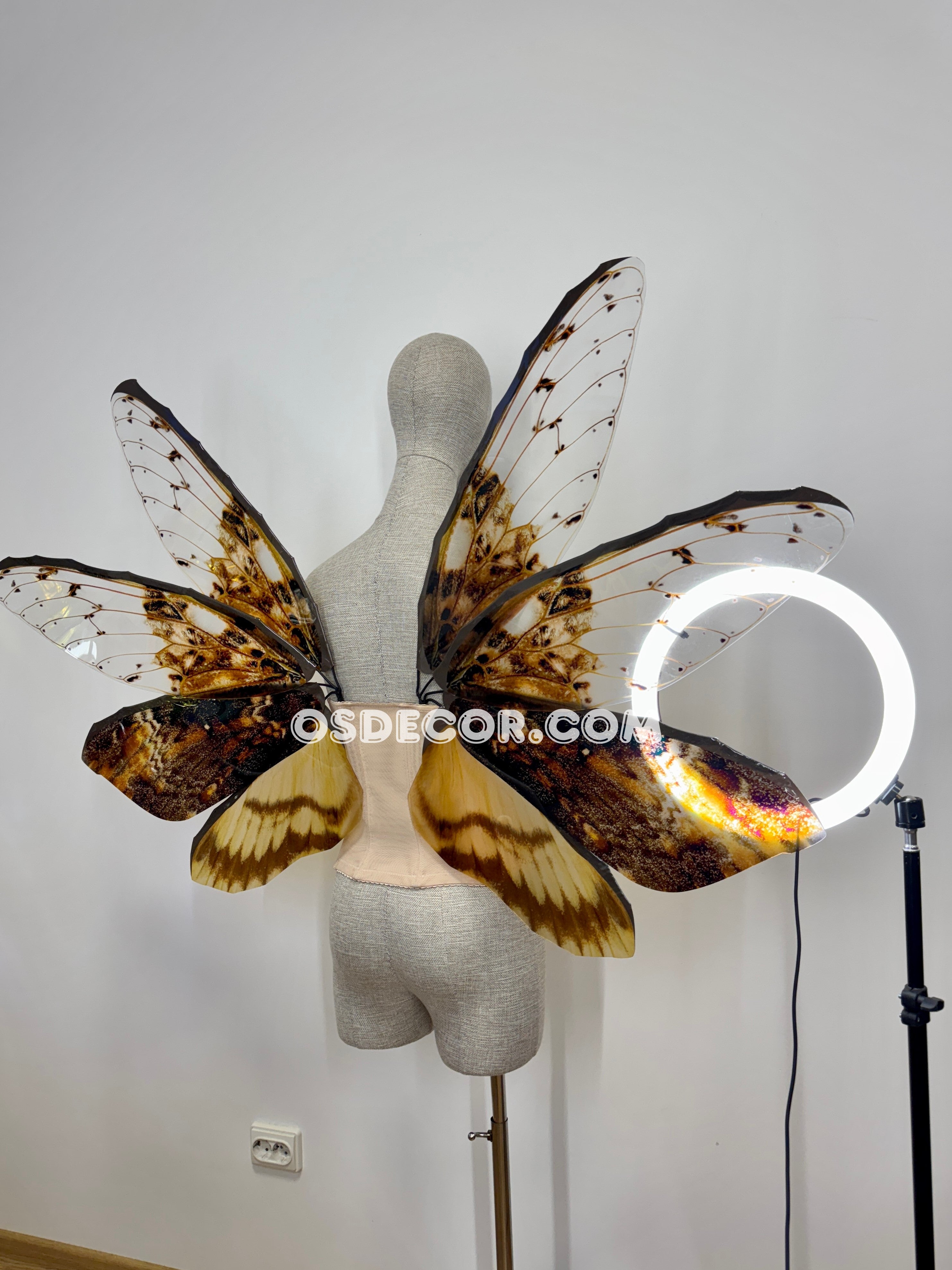 Orange Brown Leaves Fairy Wings