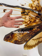 Orange Brown Leaves Fairy Wings