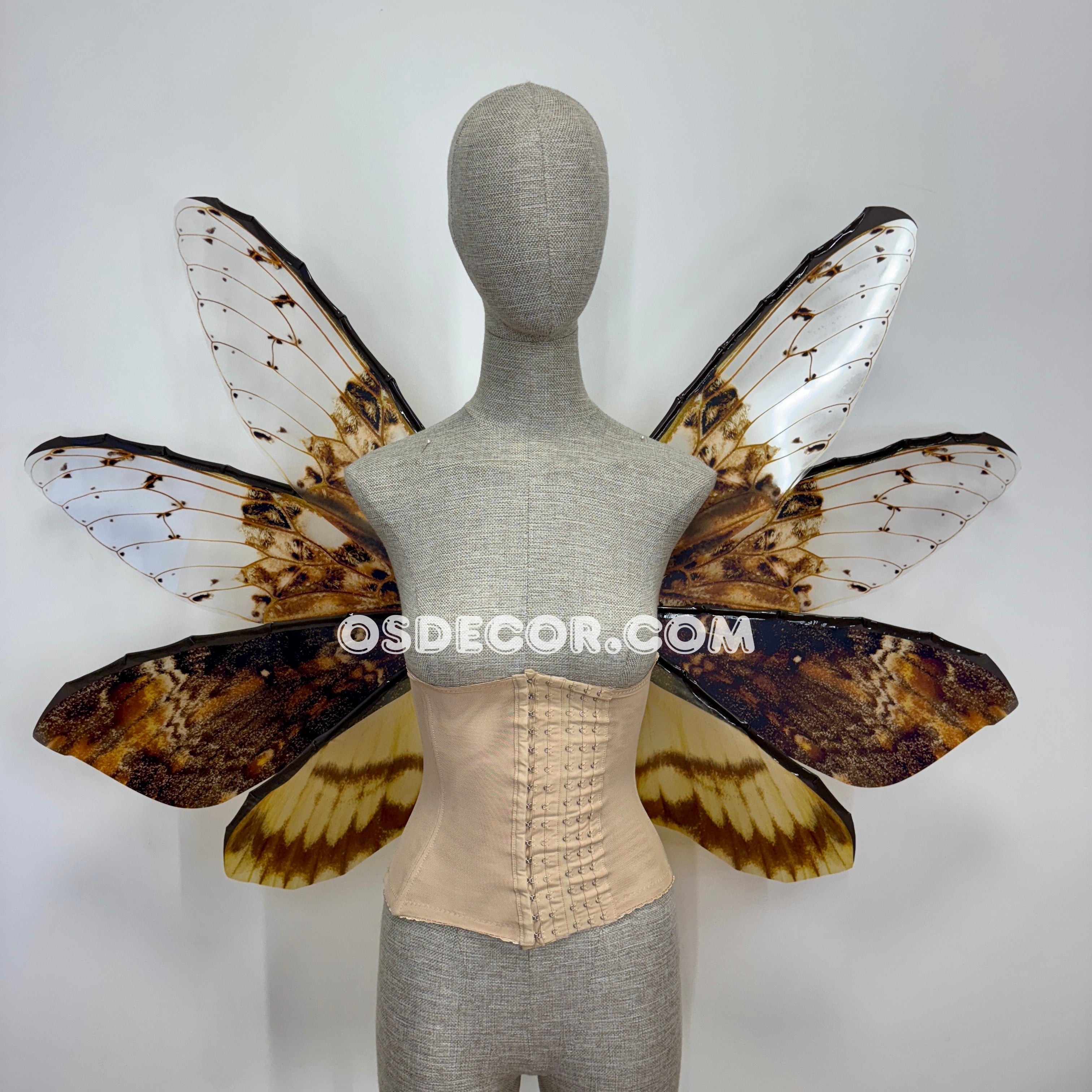 Orange Brown Leaves Fairy Wings