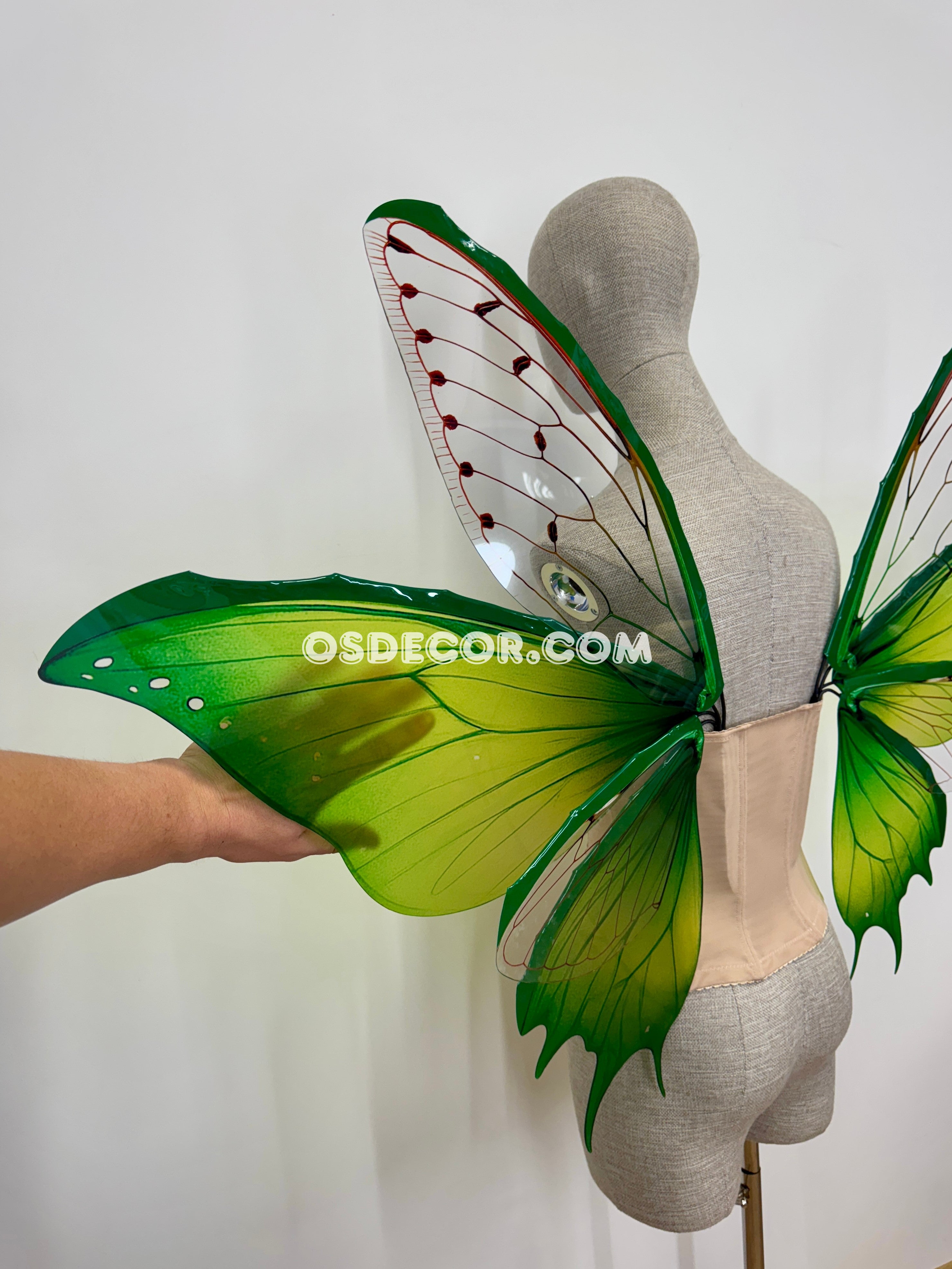 Green Butterfly Fairy Wings