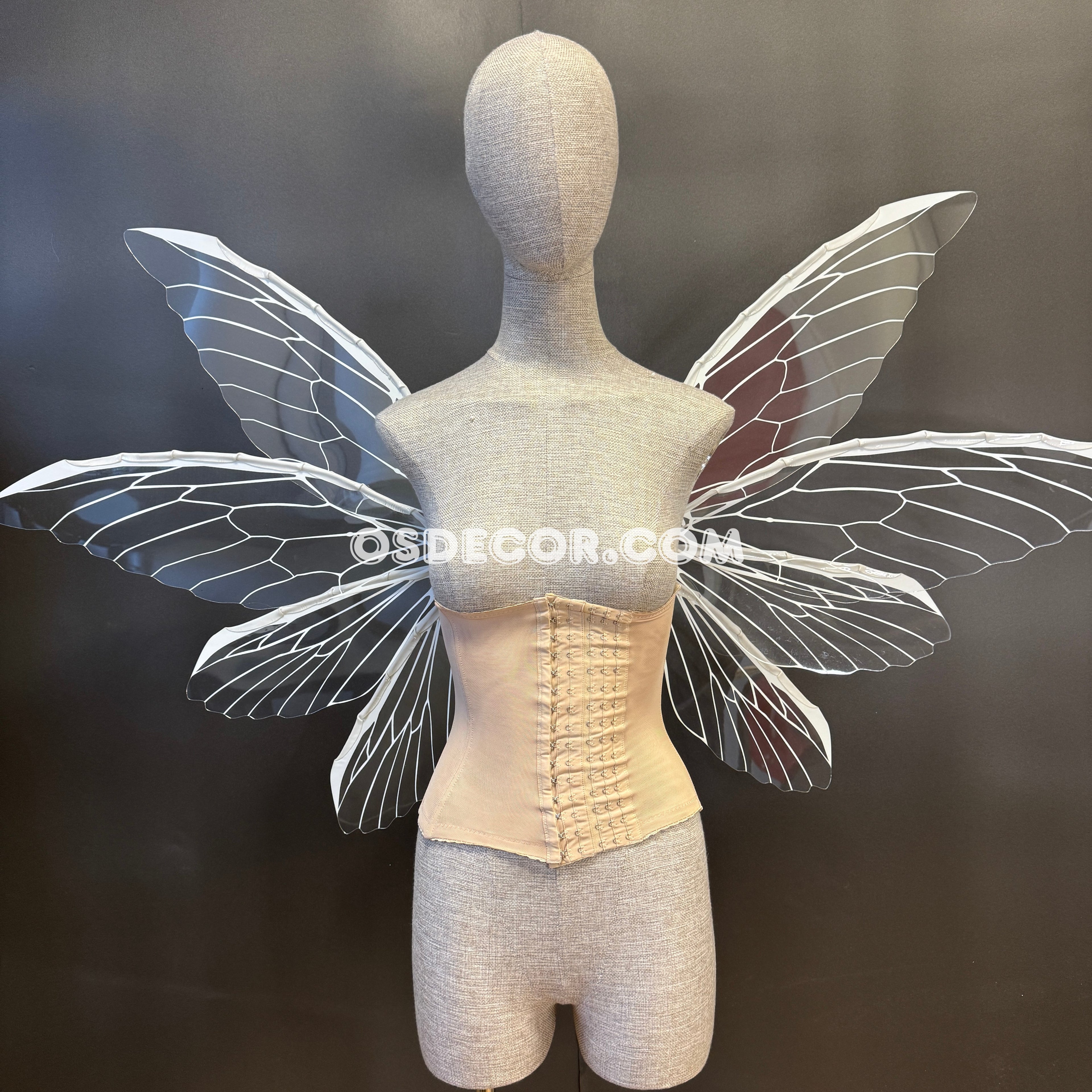 White Transparent Butterfly Fairy Wings