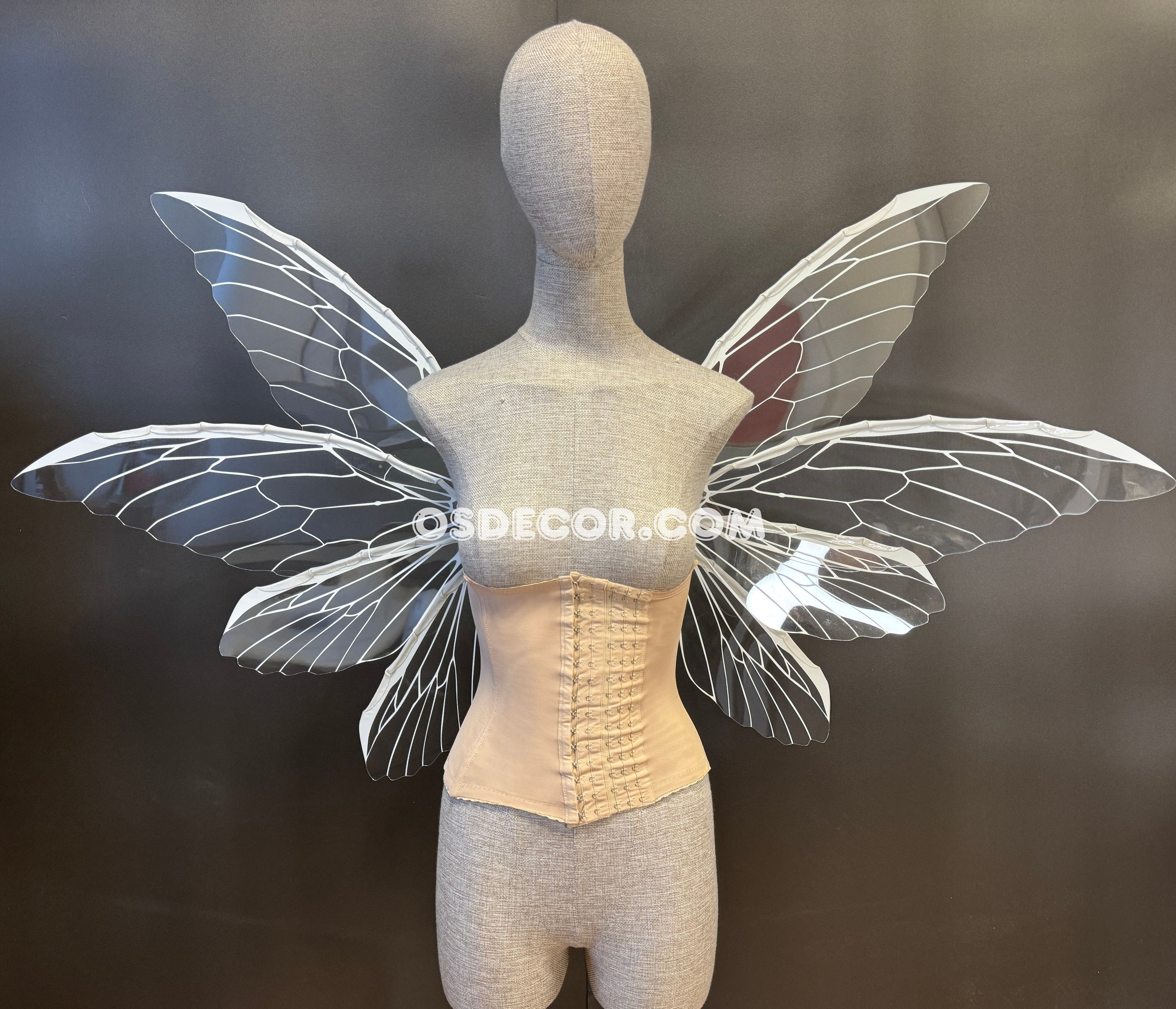 White Transparent Butterfly Fairy Wings