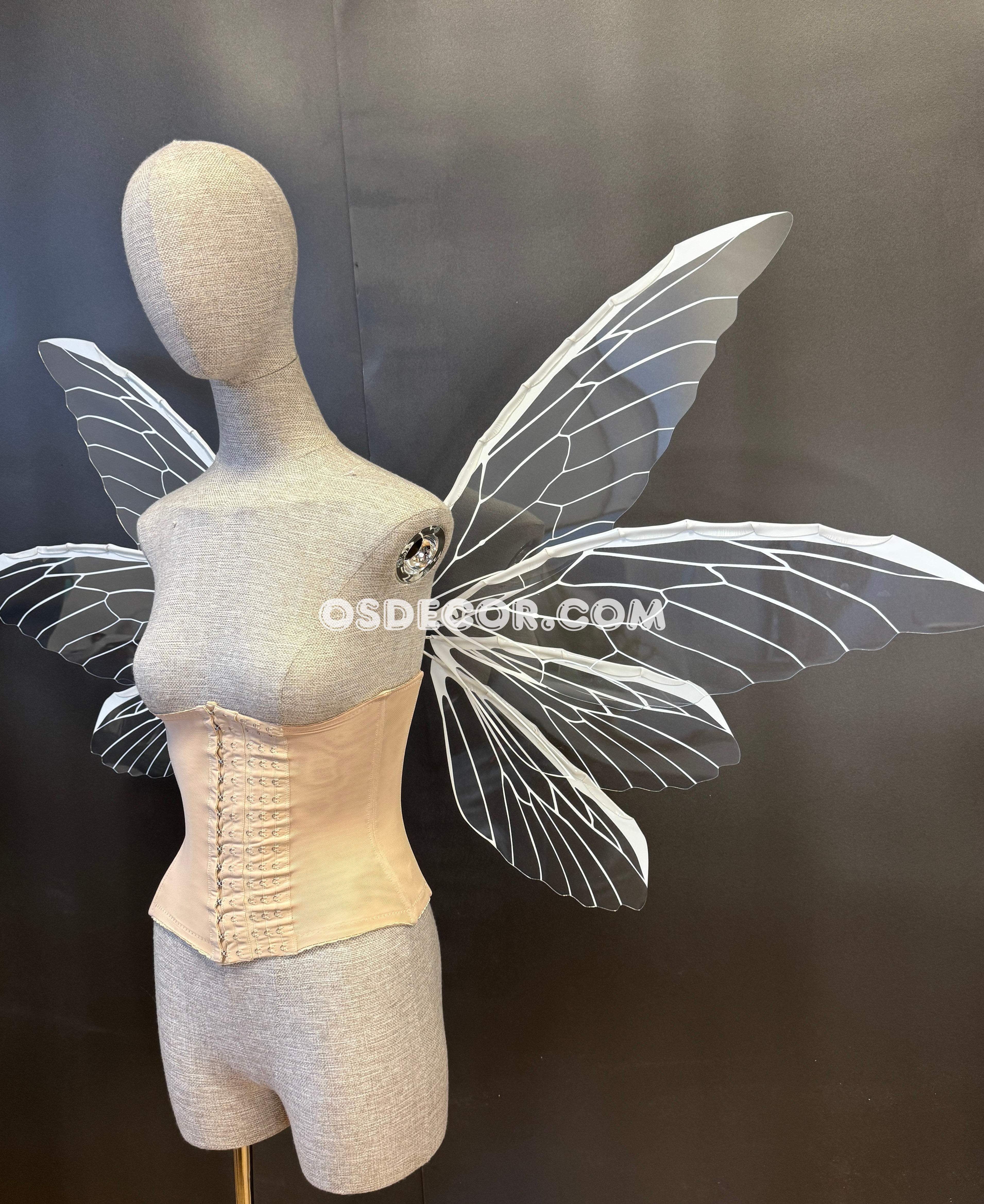 White Transparent Butterfly Fairy Wings