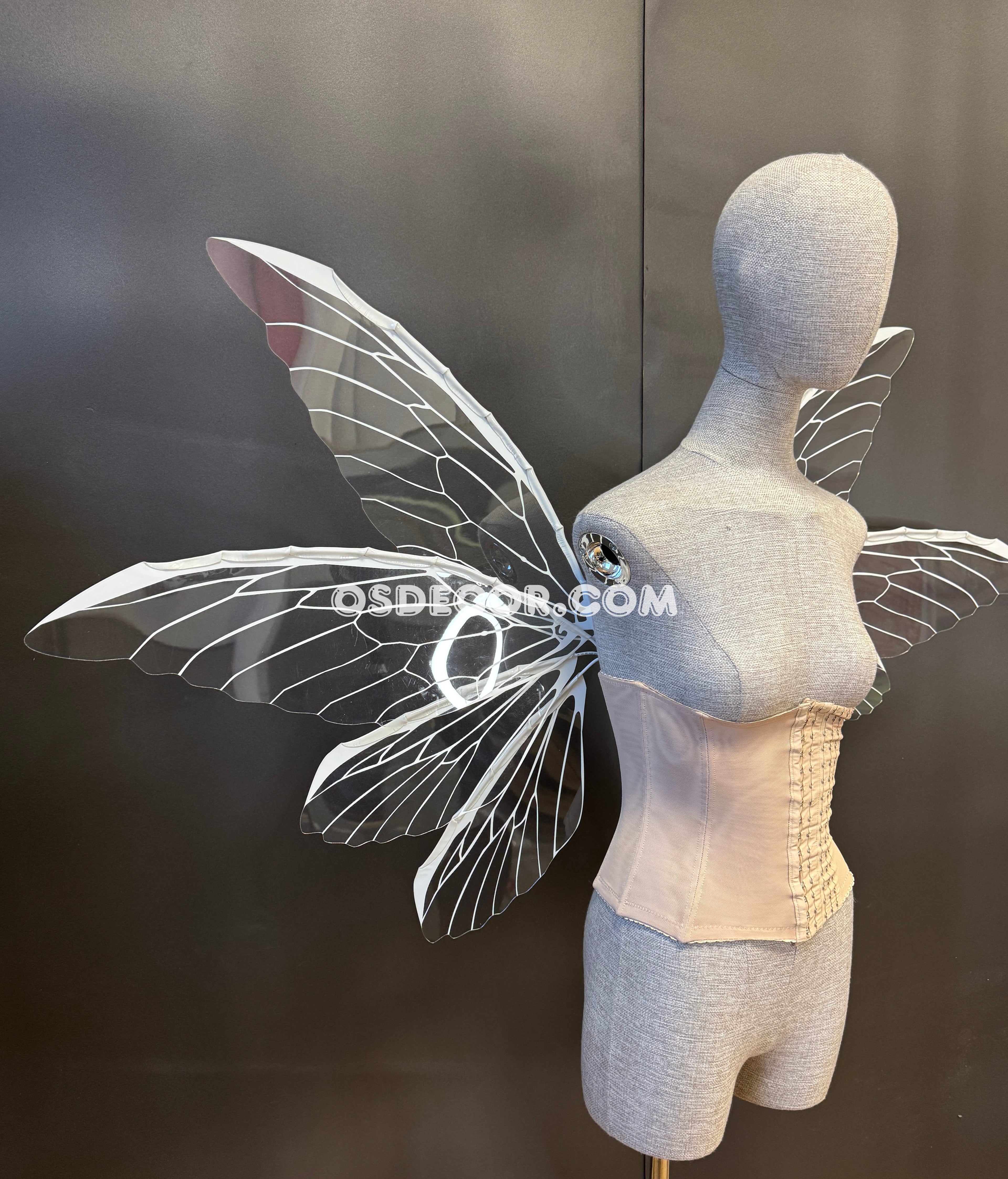 White Transparent Butterfly Fairy Wings