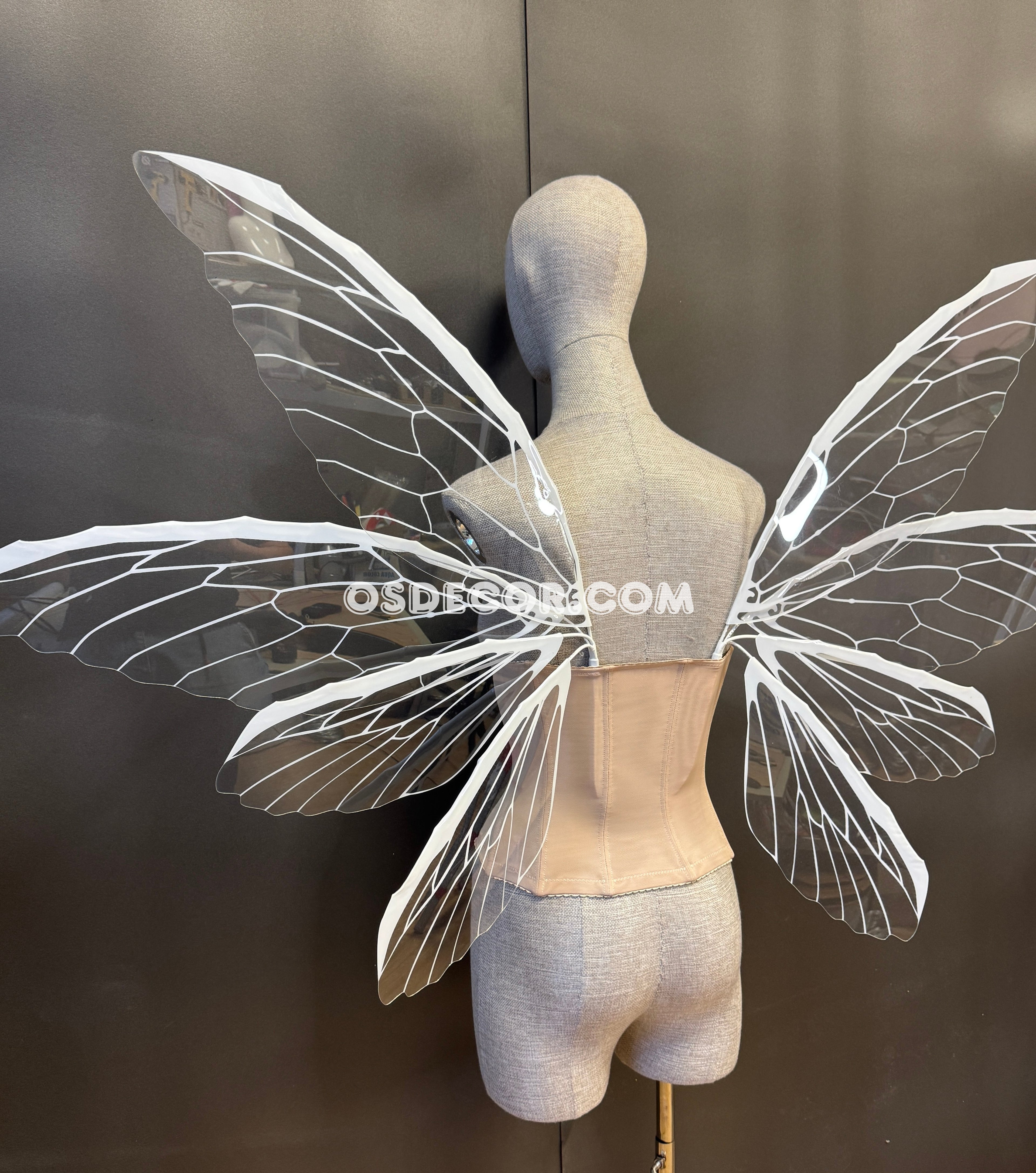White Transparent Butterfly Fairy Wings