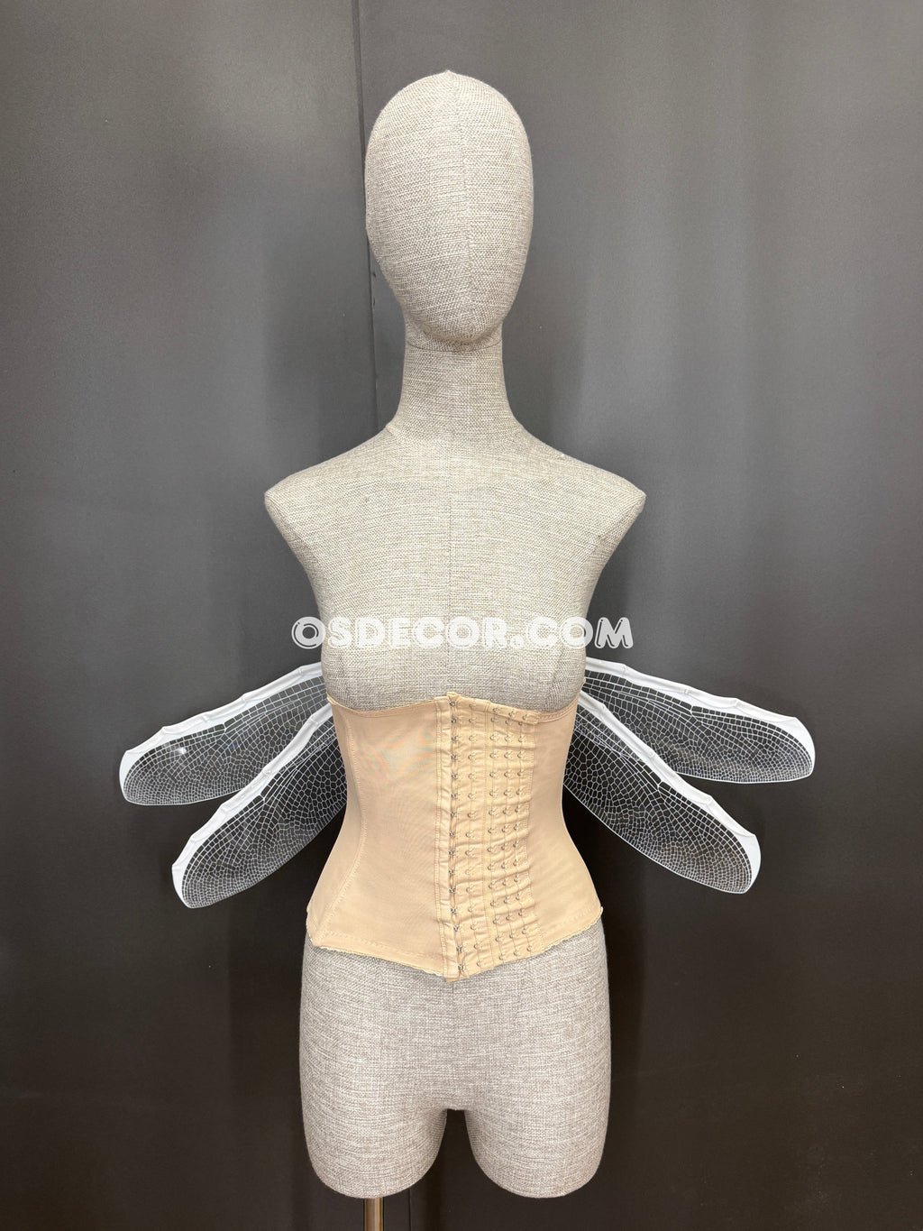 White Transparent Fairy Elf Dragonfly Wings