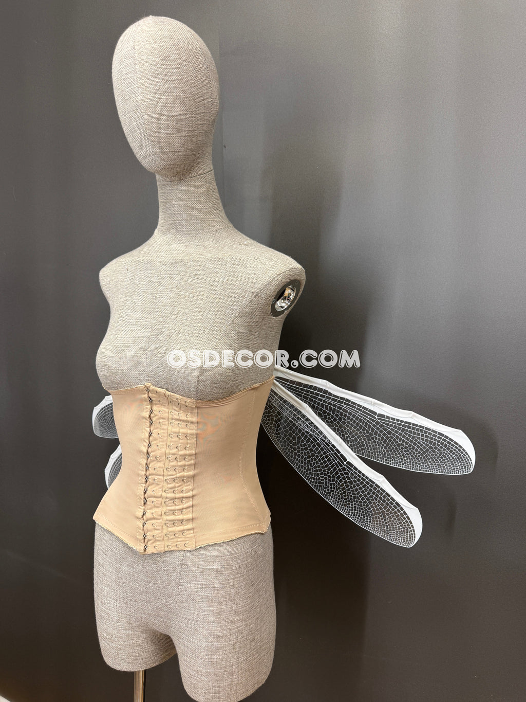 White Transparent Fairy Elf Dragonfly Wings