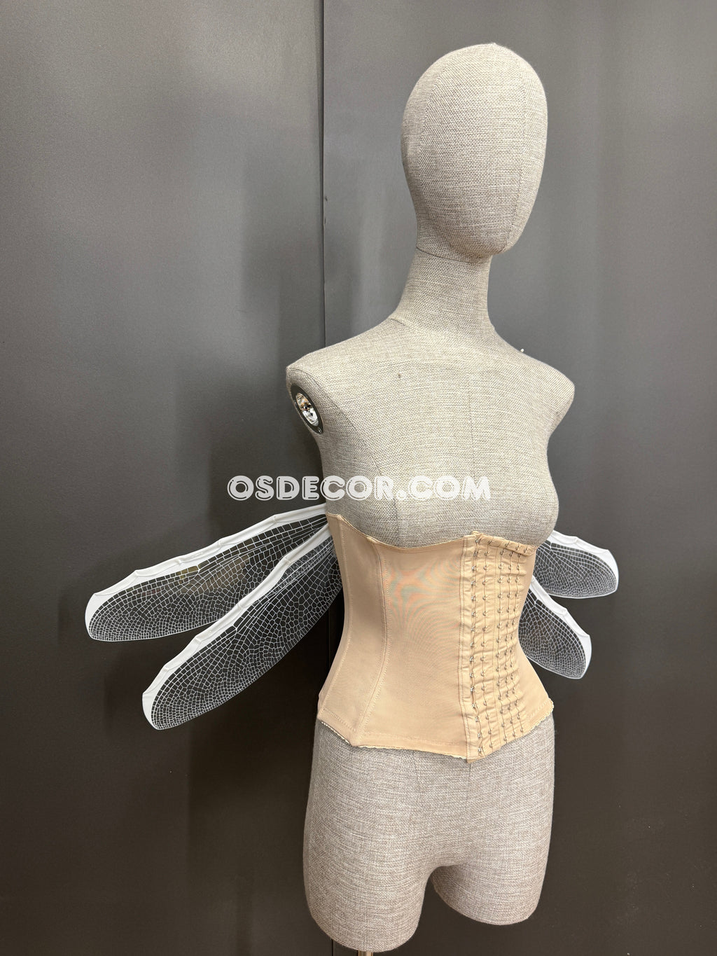 White Transparent Fairy Elf Dragonfly Wings