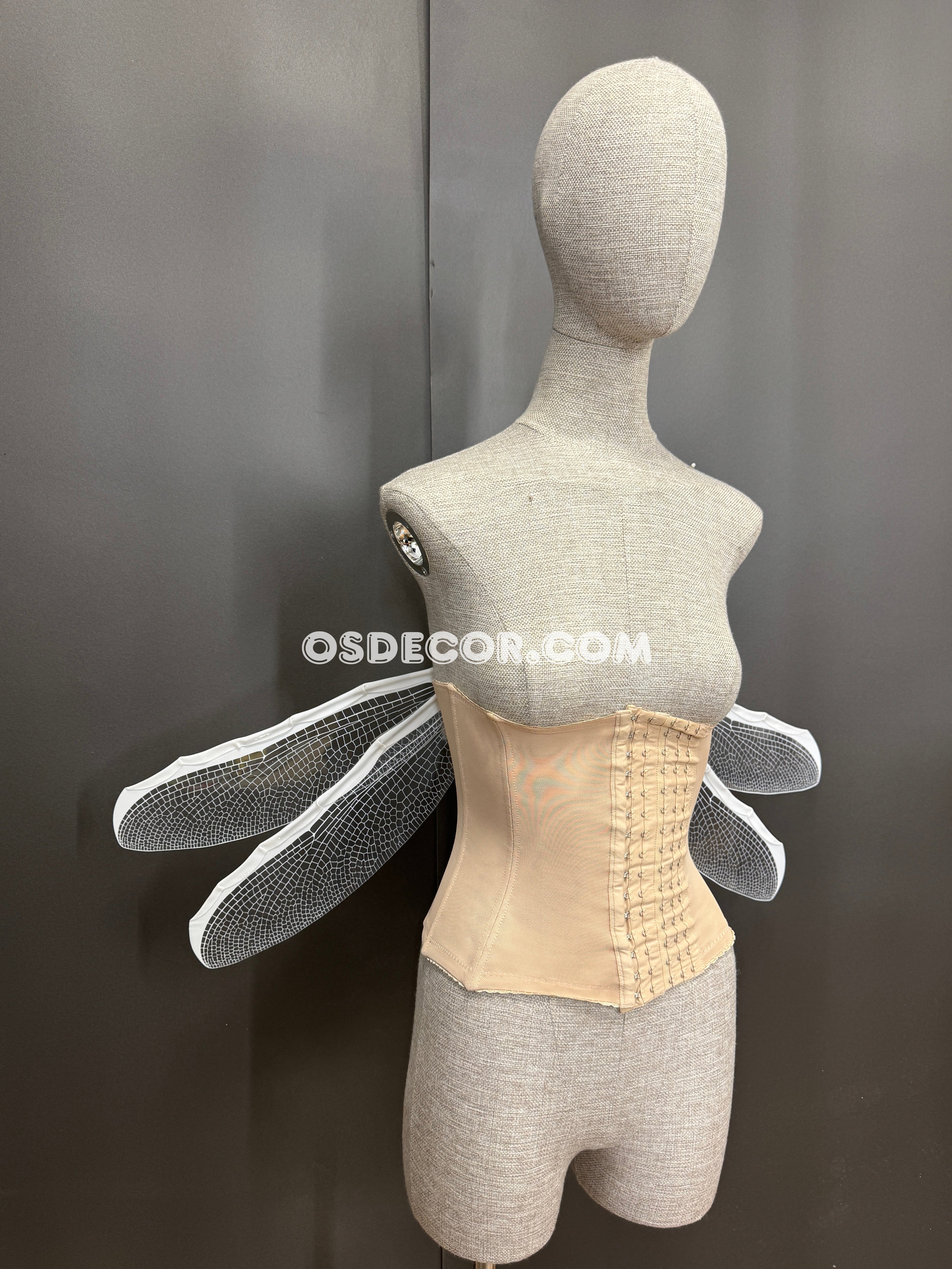 White Transparent Fairy Elf Dragonfly Wings