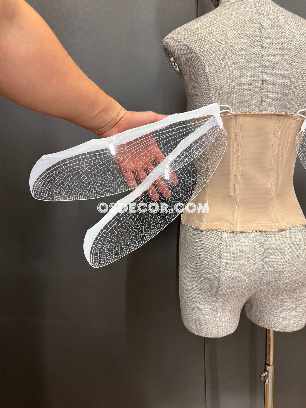 White Transparent Fairy Elf Dragonfly Wings