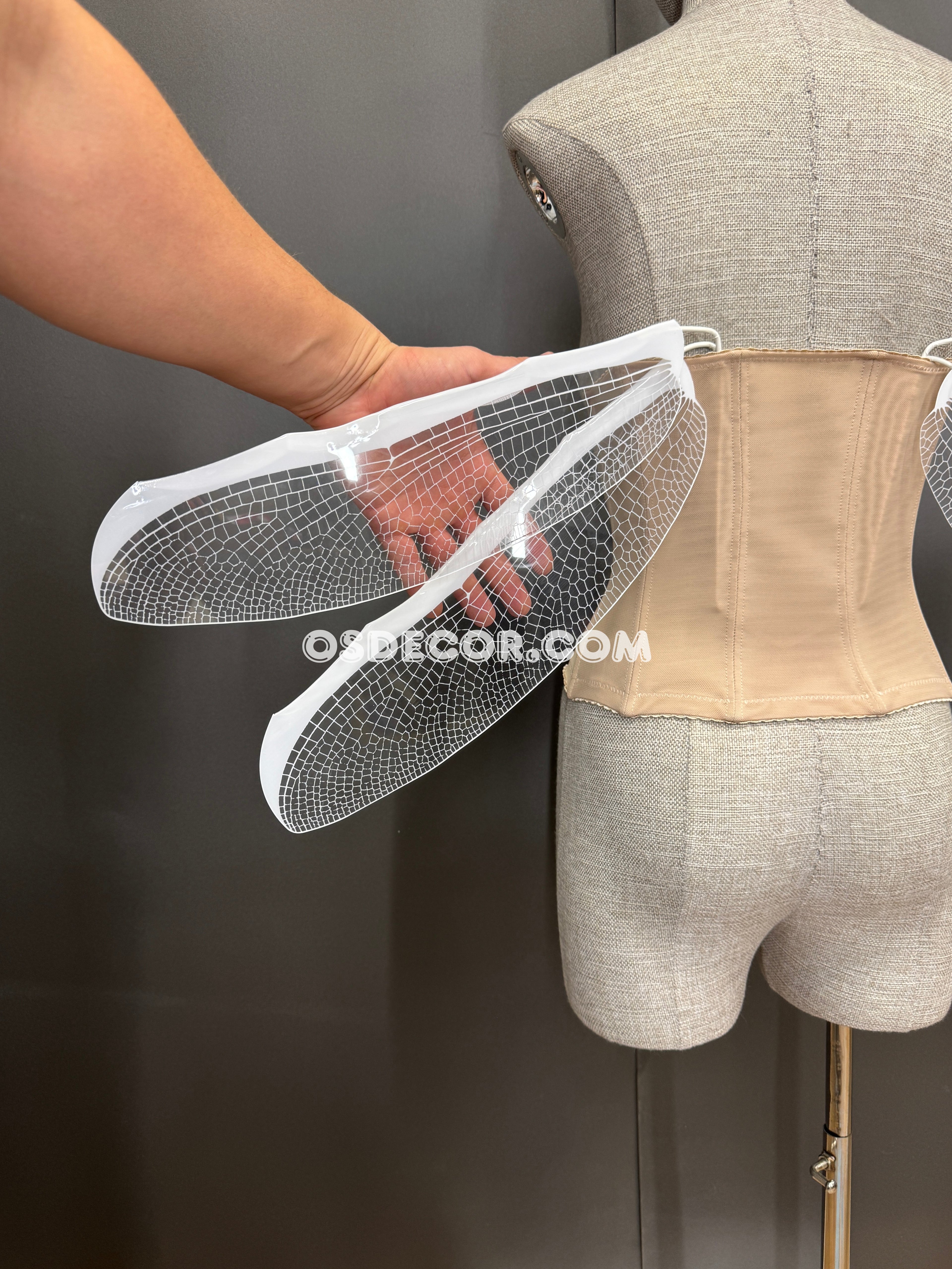 White Transparent Fairy Elf Dragonfly Wings