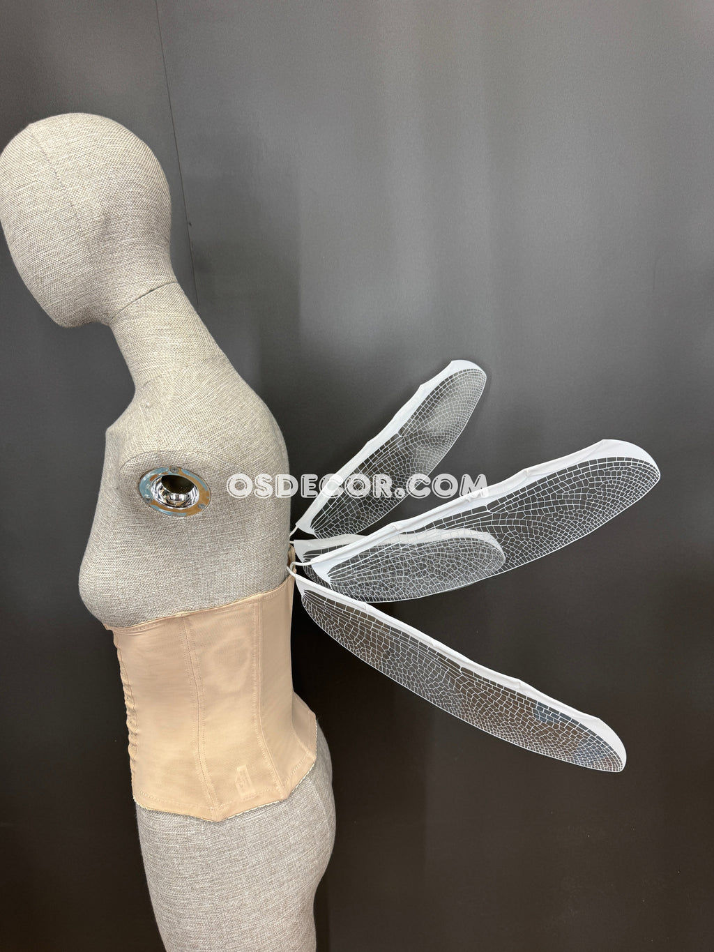 White Transparent Fairy Elf Dragonfly Wings