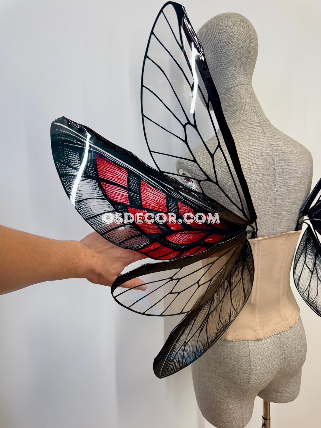 Mystic Insect Gothic Cicada Fairy Dragonfly Wings