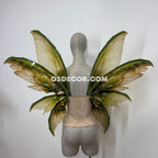 Green Brown Fairy Wings