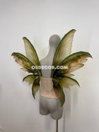Green Brown Fairy Wings