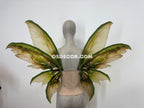 Green Brown Fairy Wings