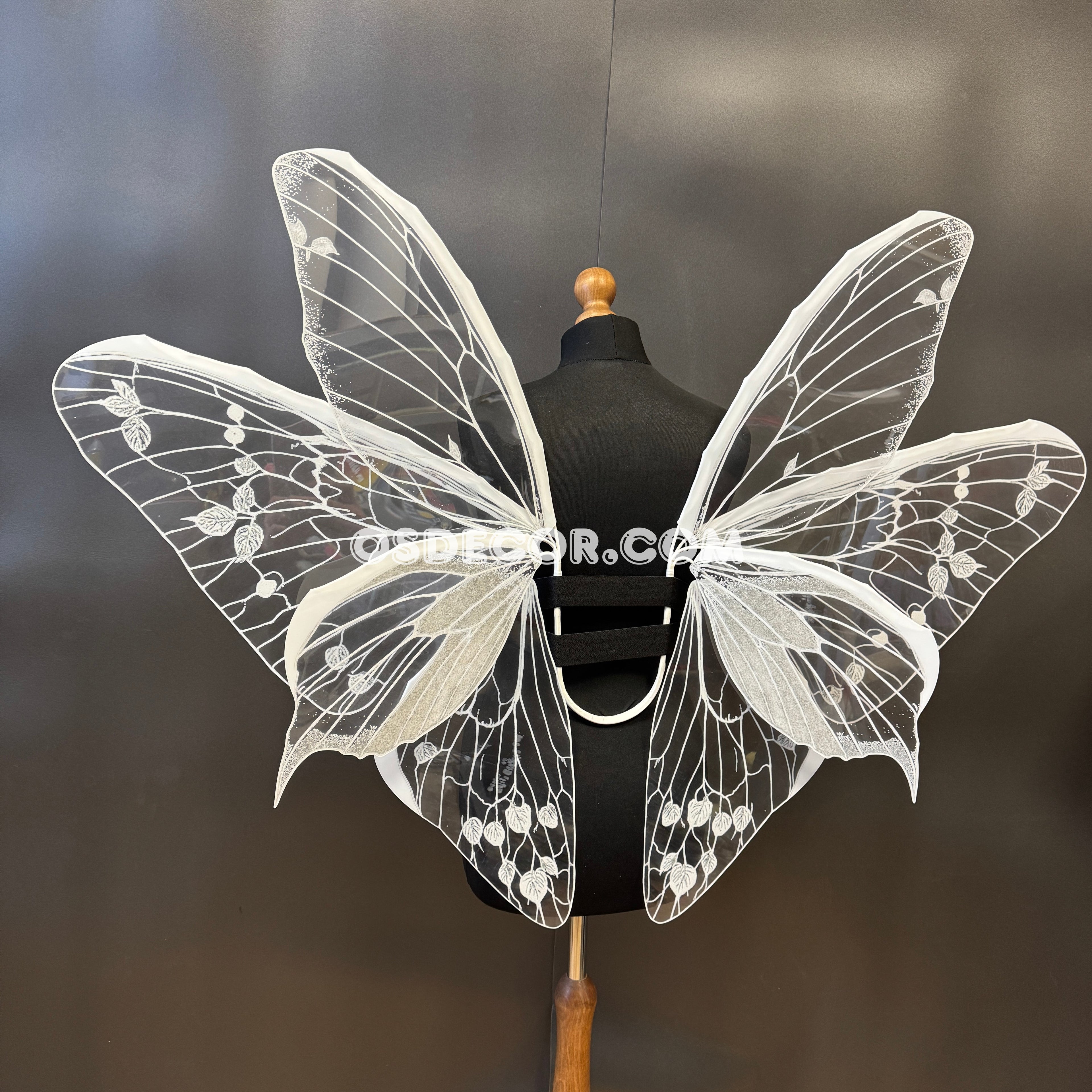 White Transparent Butterfly Wings