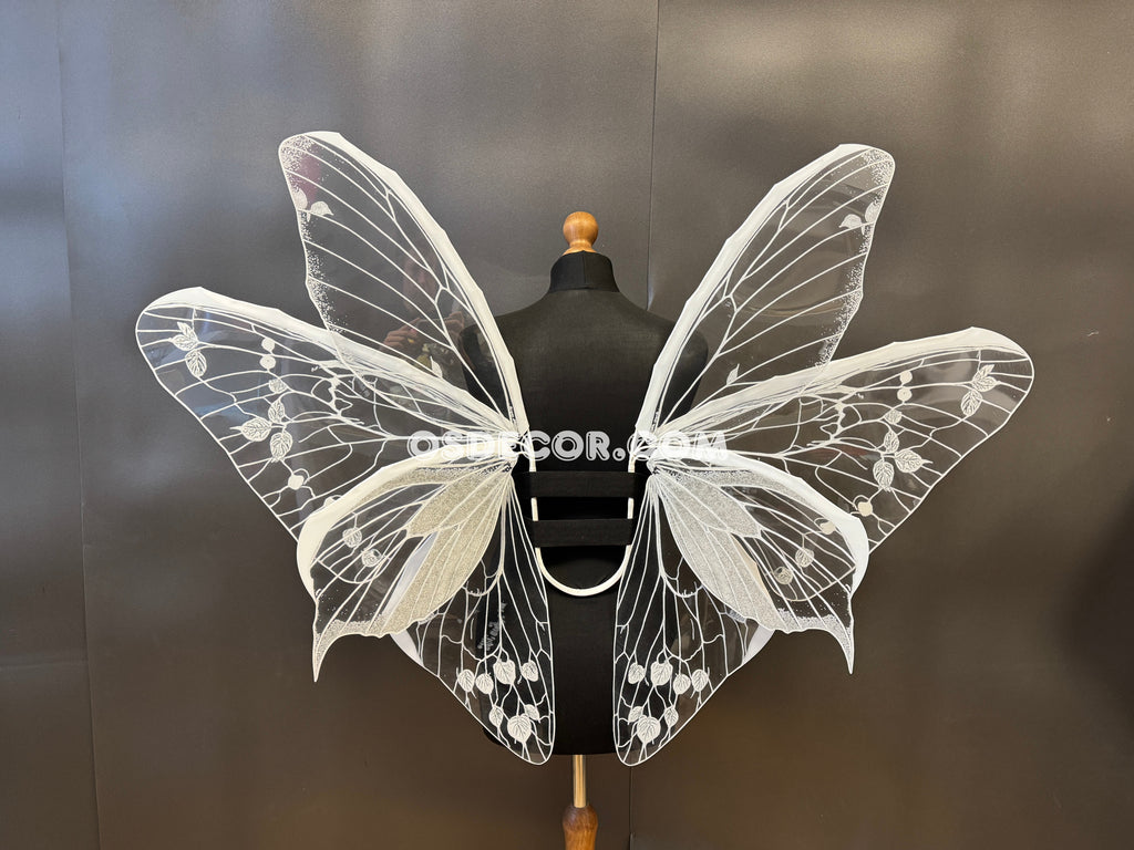 White Transparent Butterfly Wings