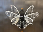White Transparent Butterfly Wings
