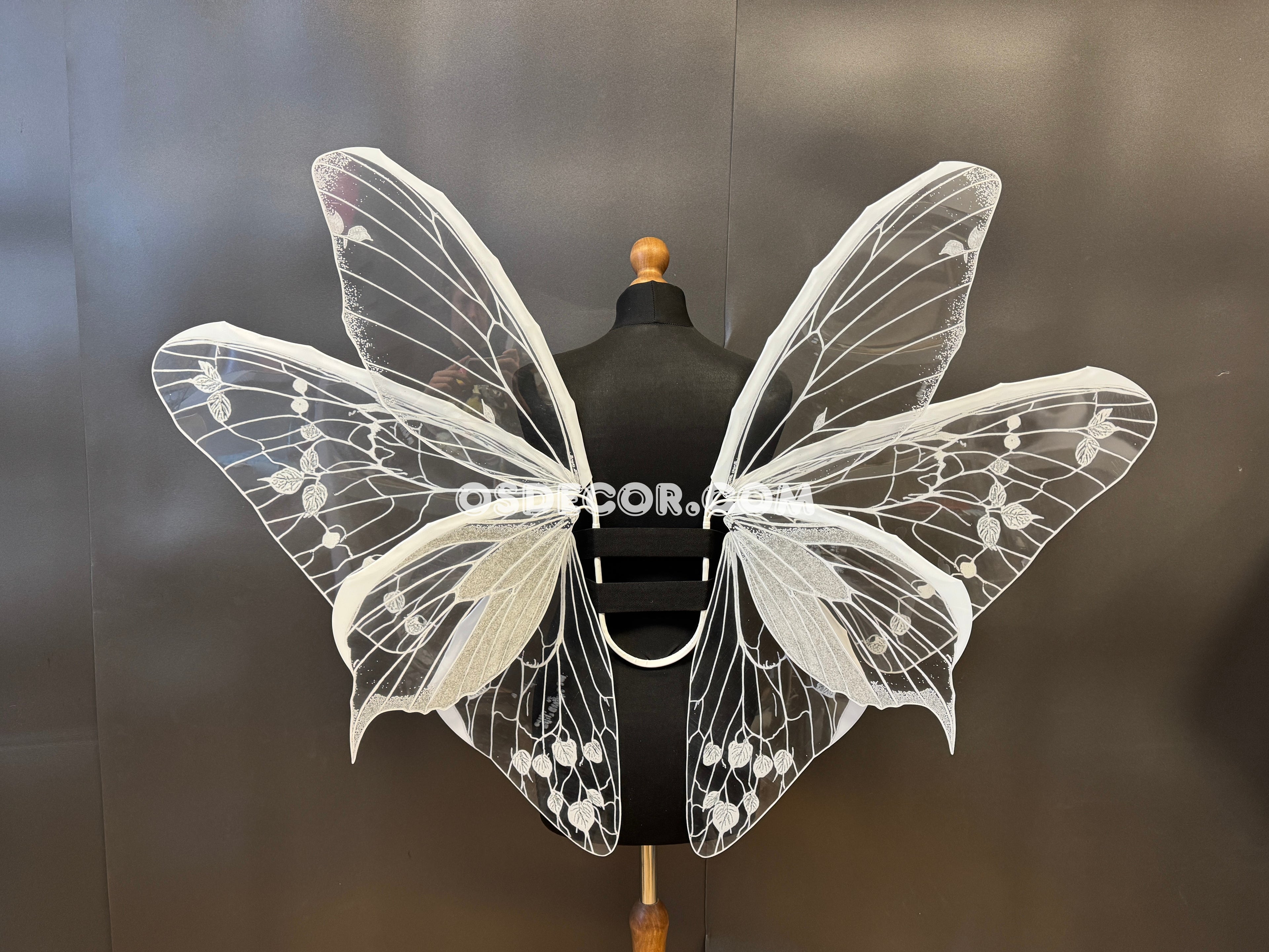 White Transparent Butterfly Wings