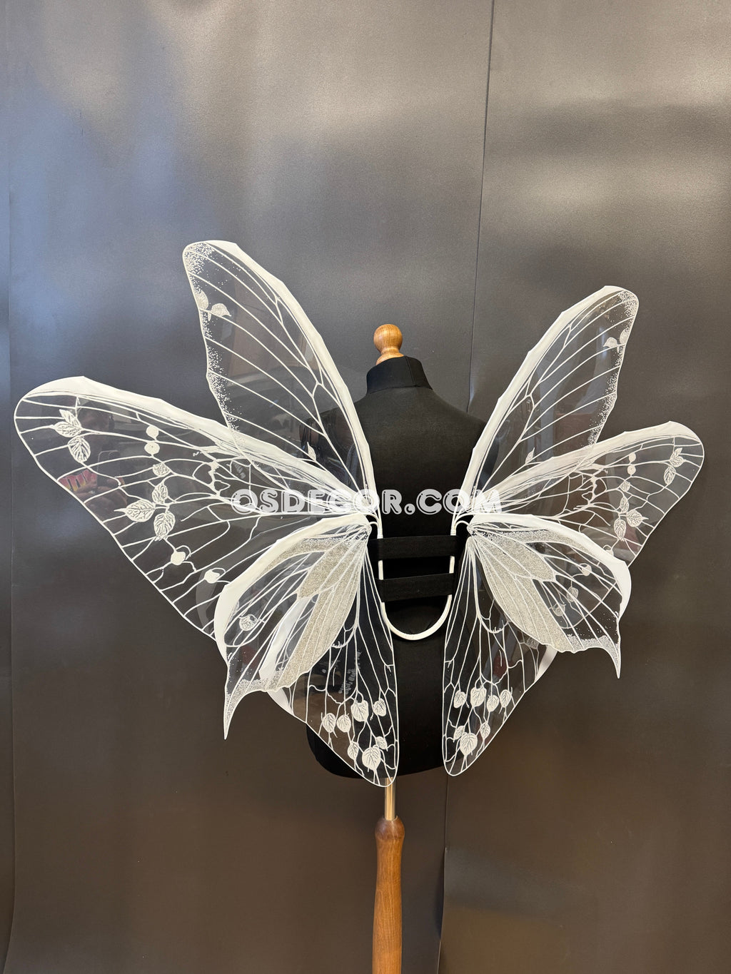 White Transparent Butterfly Wings