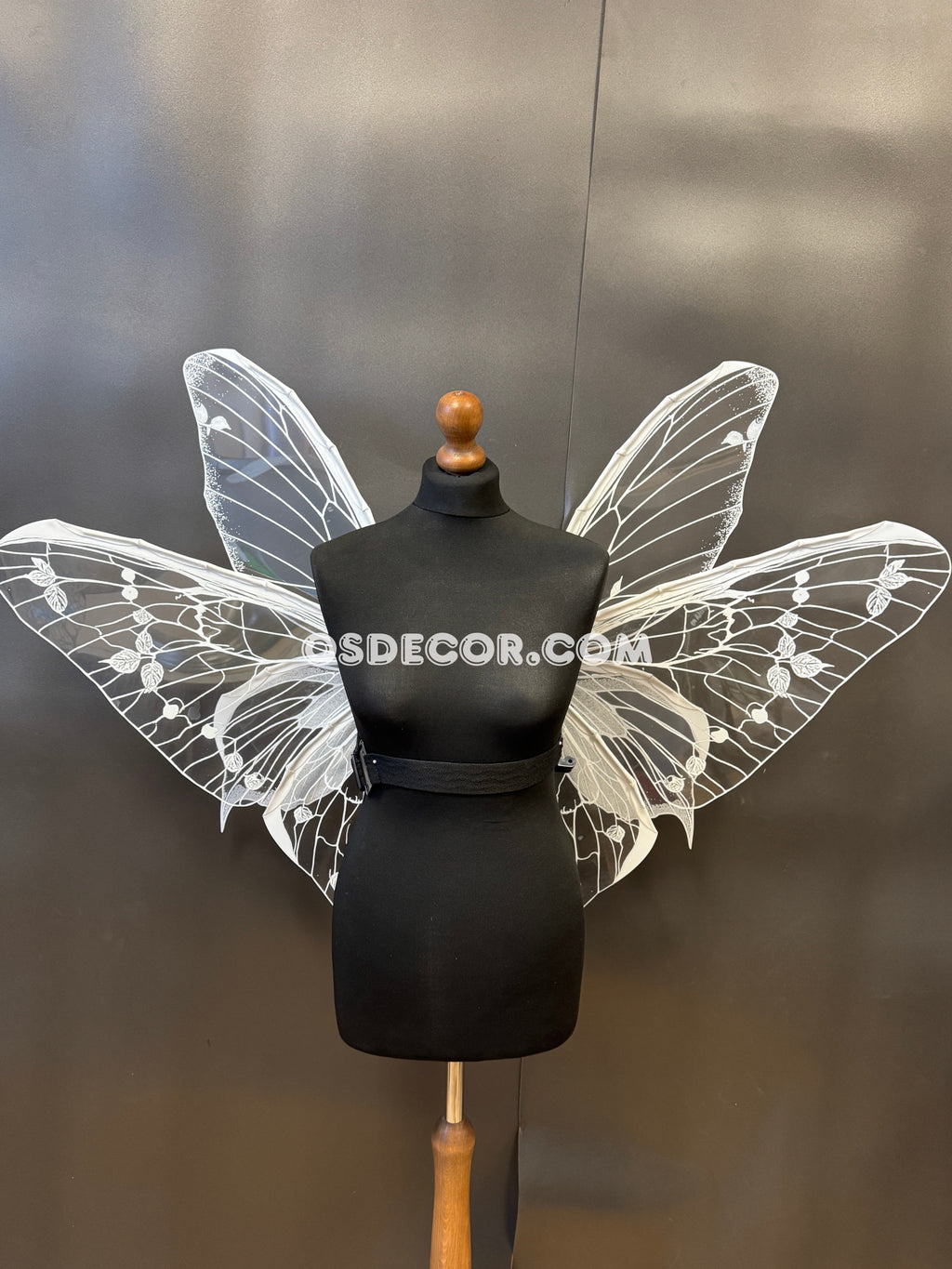 White Transparent Butterfly Wings