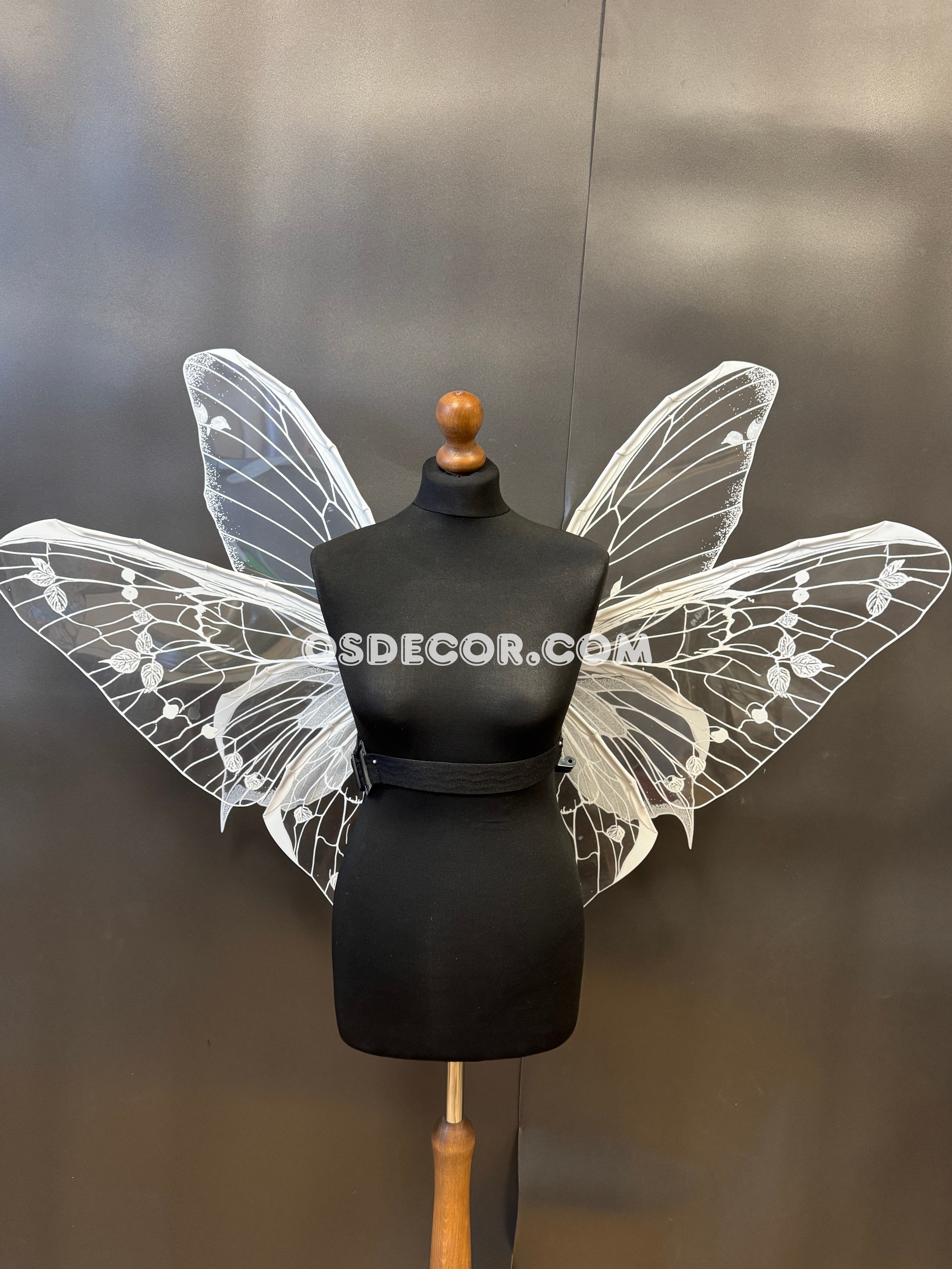 White Transparent Butterfly Wings