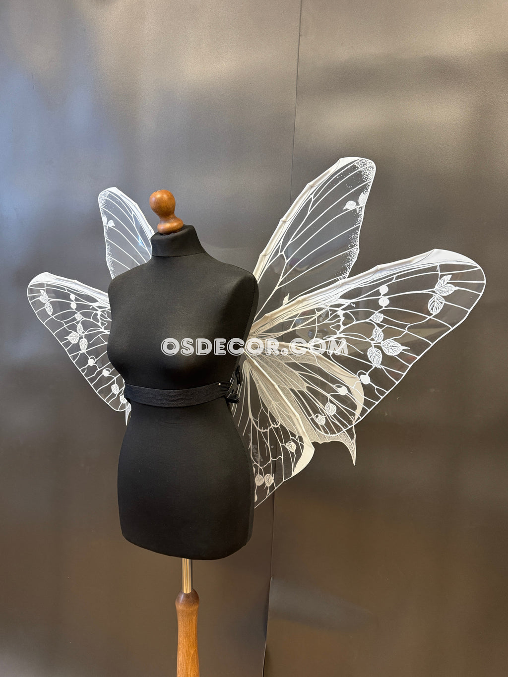 White Transparent Butterfly Wings