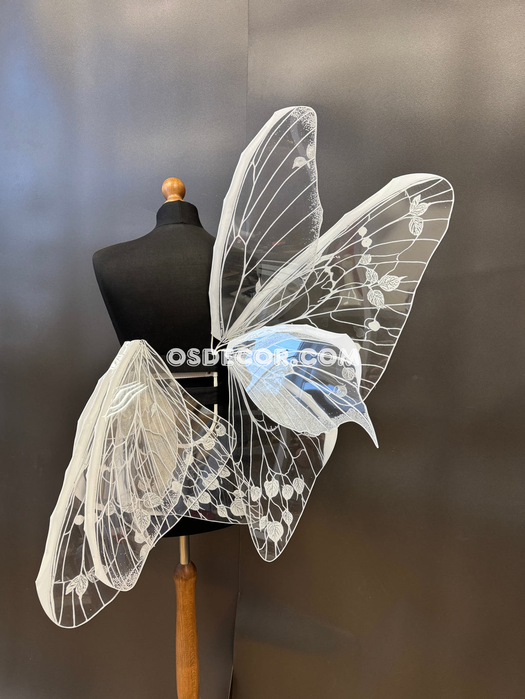 White Transparent Butterfly Wings