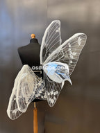 White Transparent Butterfly Wings