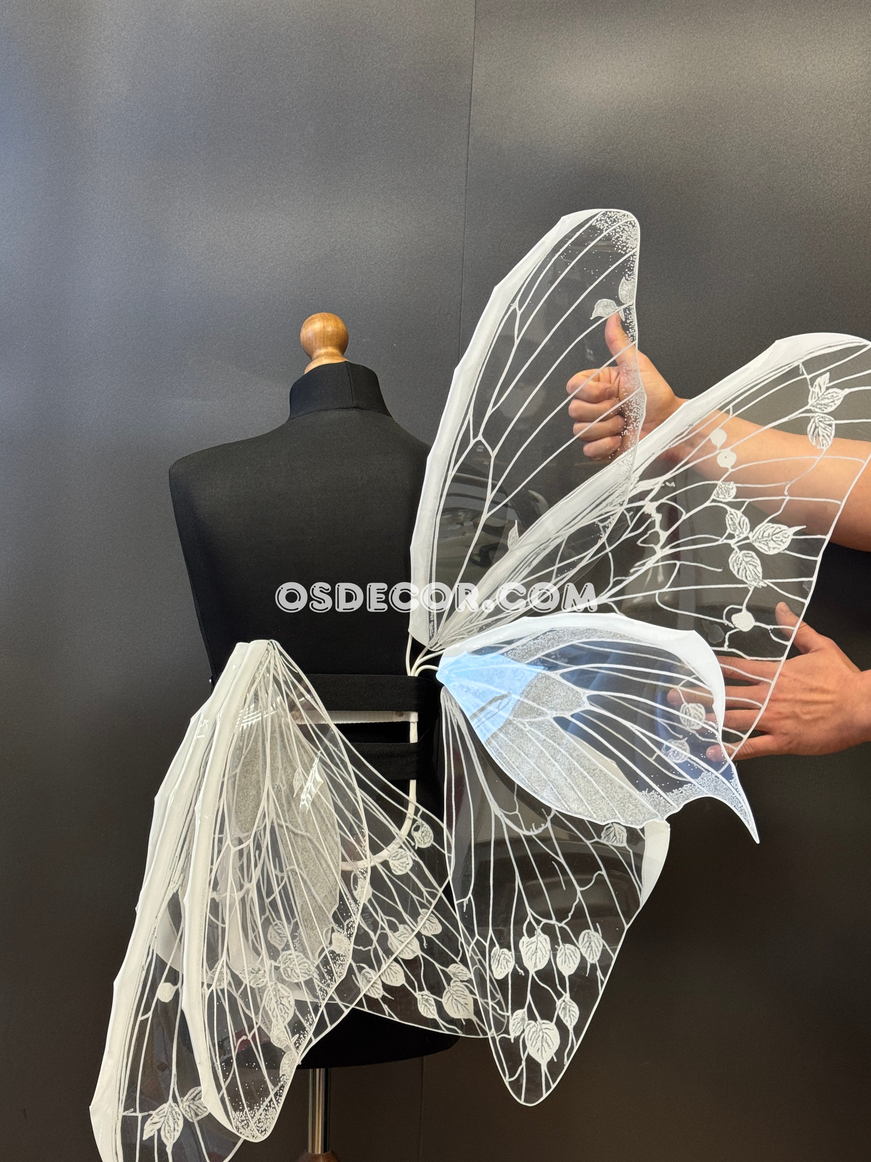 White Transparent Butterfly Wings