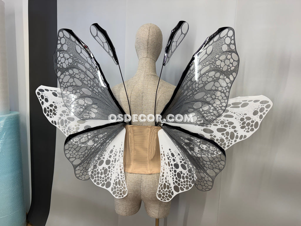 White Black Transparent Butterfly Wings