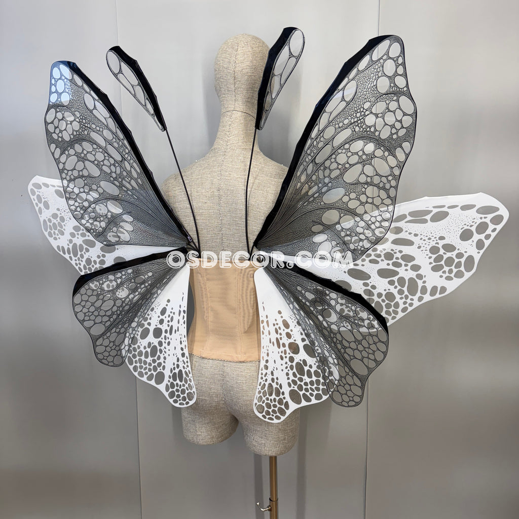 White Black Transparent Butterfly Wings