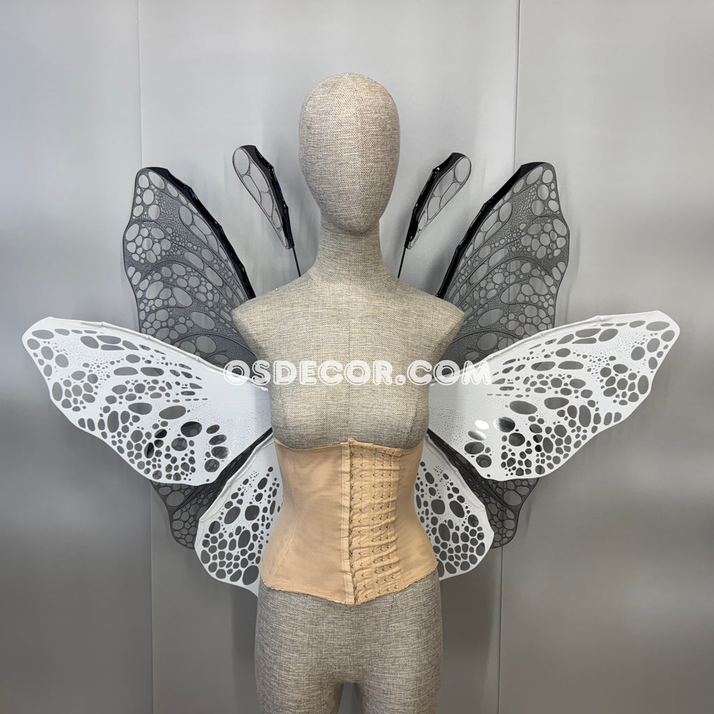 White Black Transparent Butterfly Wings