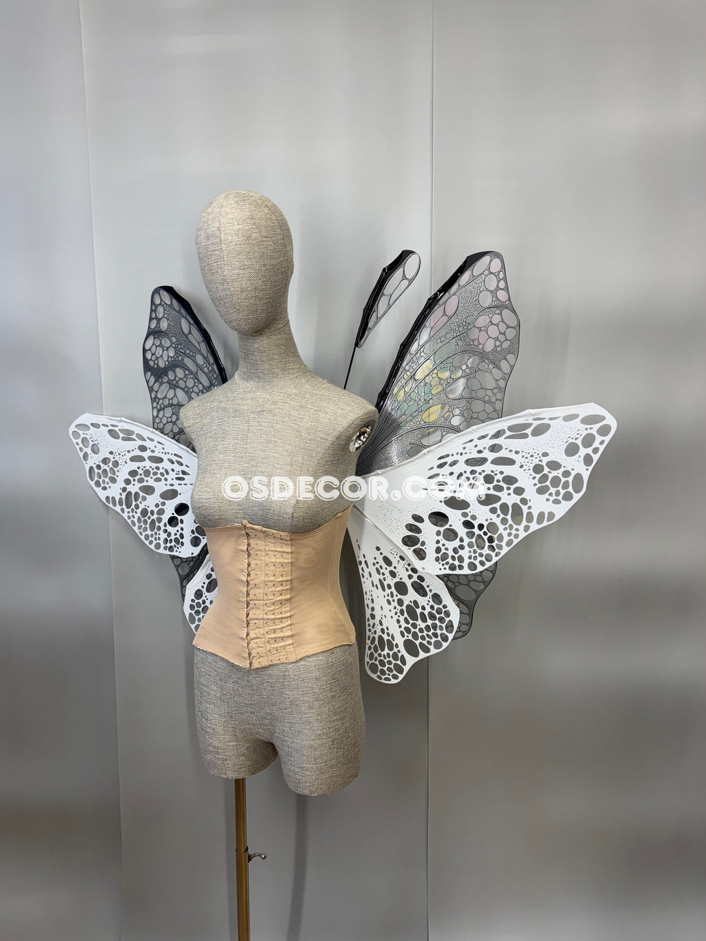 White Black Transparent Butterfly Wings